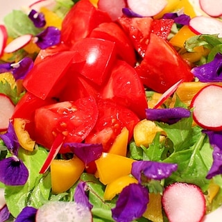 【簡単＆華やか】五色のカラフルトマトサラダ